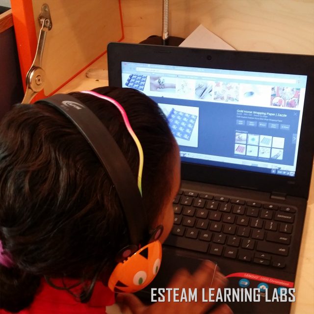 esteam learning labs